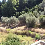Aparthotel Achladi Beach 3*