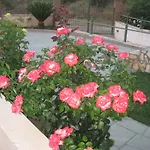 Achladi Beach 3*