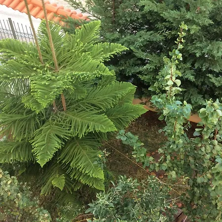 Achladi Beach Hotel apartamentowy