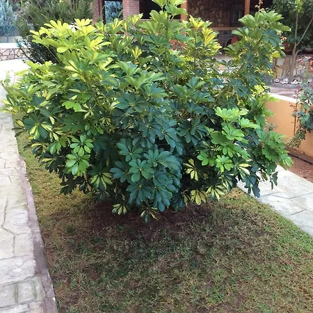 Hotel apartamentowy Achladi Beach Achladi