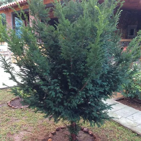 Aparthotel Achladi Beach