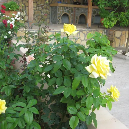 Hotel apartamentowy Achladi Beach 3*