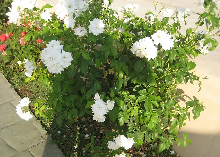 Achladi Beach 3* Achladi